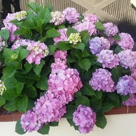 Nocleg ze śniadaniem Baia Dello Stretto