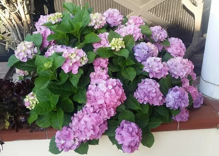 ベッド・アンド・ブレックファスト Baia Dello Stretto